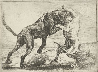 Deux chiens se battant - Pauwels van Hillegaert