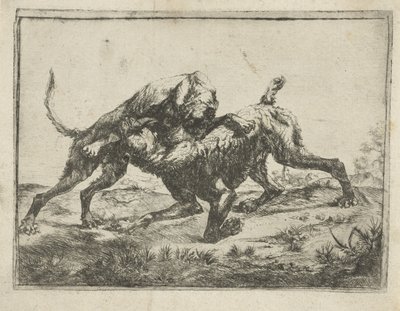 Chiens se battant - Pauwels van Hillegaert