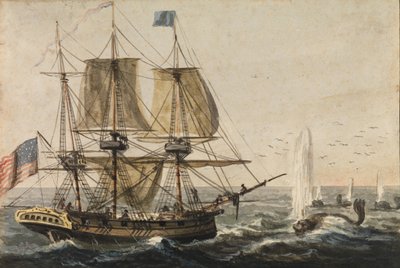 Réapprovisionnement du garde-manger du navire avec de la morue au large de la côte de Terre-Neuve, 1811-1813 - Pavel Petrovic Svin