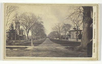 Avenue Hillhouse - Peck Brothers