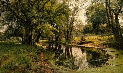 Eau calme dans la forêt - Peder Monsted