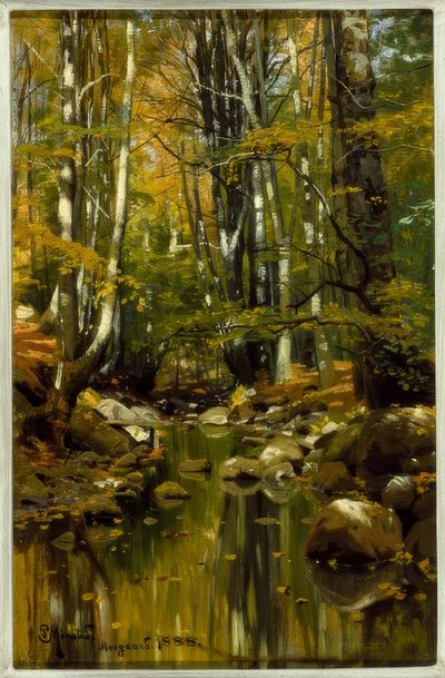 Ruisseau forestier à la fin de l