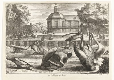 Pélicans - Peeter Boel (attributed to)