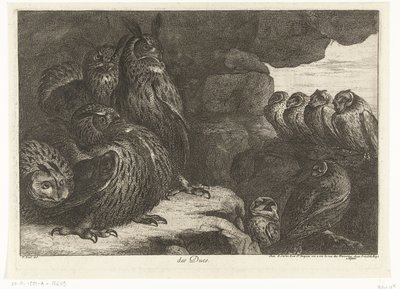 Chouettes dans une grotte (Vogels uit de menagerie van Versailles) - Peeter Boel (attributed to)