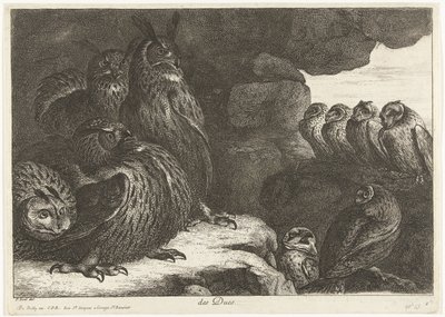 Chouettes dans une grotte - Peeter Boel (attributed to)