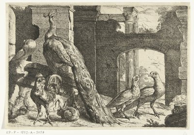 Paon et autres animaux - Peeter Boel