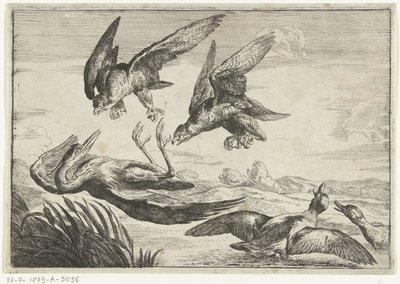 Deux faucons attaquent un héron (Diversi uccelli, série) - Peeter Boel