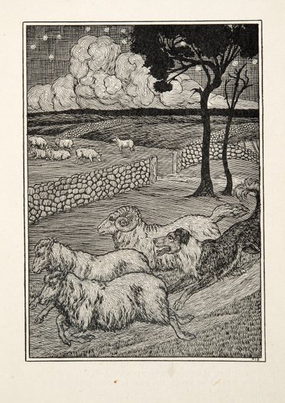 Un voleur de moutons canin, de Cent anecdotes d