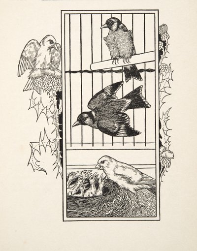Un canari charitable, de Cent anecdotes d