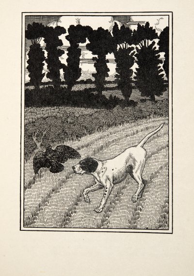 Tromper le chasseur, de Cent anecdotes d