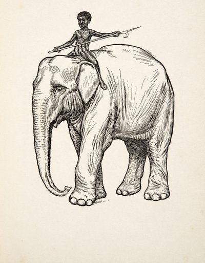 Remords, de A Hundred Anecdotes of Animals, pub. 1924 - Percy J. Billingshurst