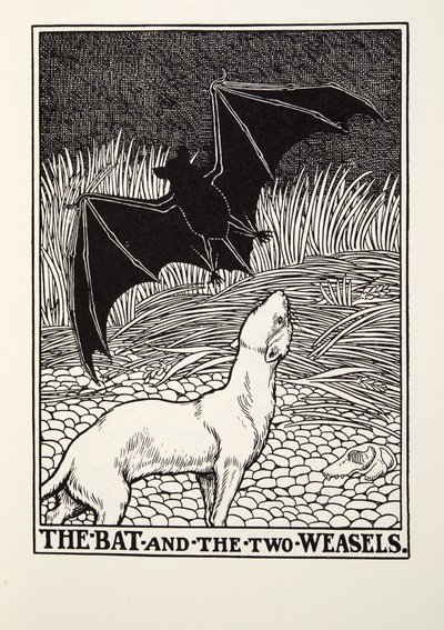 La Chauve-souris et les deux Belettes, des Fables de La Fontaine, pub. 1905 - Percy J. Billingshurst