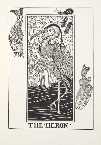 Le héron, des Fables de Fontaine, pub. 1905 - Percy J. Billingshurst