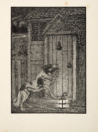 Le chien de Terre-Neuve, de A Hundred Anecdotes of Animals, pub. 1924 - Percy J. Billingshurst