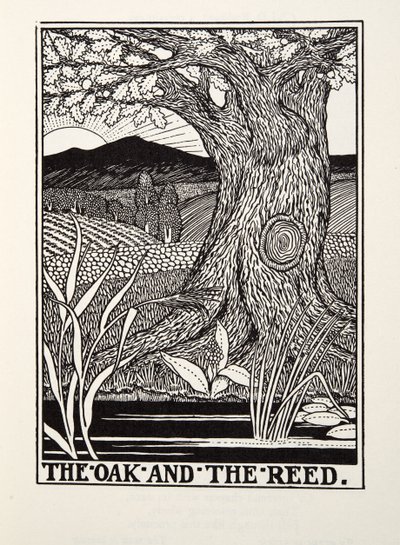 Le Chêne et le Roseau, des Fables de La Fontaine, pub. 1905 - Percy J. Billingshurst