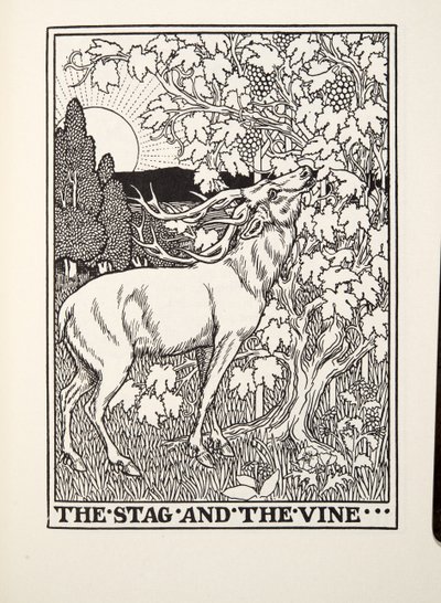 Le Cerf et la Vigne, des Fables de Fontaine, pub. 1905 - Percy J. Billingshurst