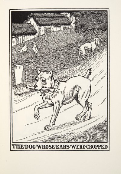 Le Chien aux Oreilles coupées, des Fables de Fontaine, pub. 1905 - Percy J. Billingshurst