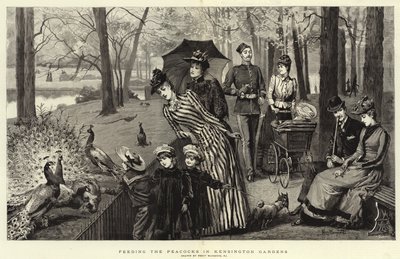 Nourrir les paons dans les jardins de Kensington (gravure) - Percy Macquoid