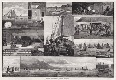 Industries de la pêche, dragage des huîtres - Percy Robert Craft