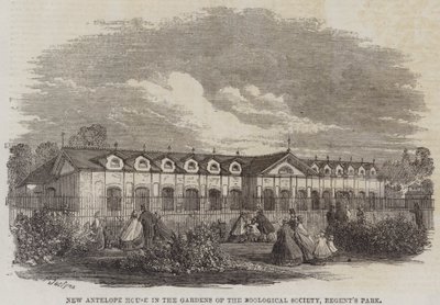 Nouvelle Maison des Antilopes dans les Jardins de la Société Zoologique, Regent
