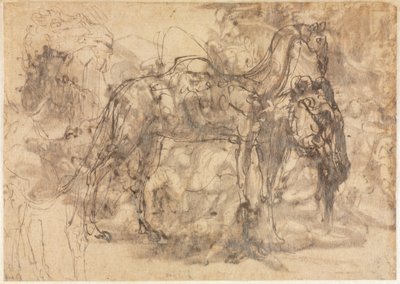 Croquis d