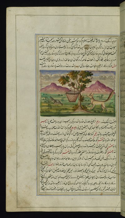 Un renard et un tambour des Lumières de Canopus - Persian School