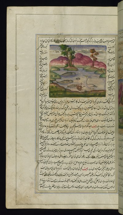 Un héron, un crabe et un poisson des Lumières de Canopus - Persian School