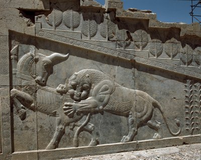 Combat entre un taureau et un lion - Reliefs de l