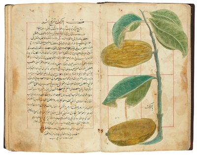 Hassan Bin Baqir Bin Jarrah: Gulzar Al-Rayahin, Qajar Iran - Persian School