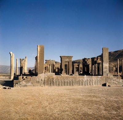 Palais de Darius I (550-486 av. J.-C.) à Persépolis (Iran), Site de l