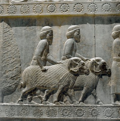 Les Sogdiens apportent des cadeaux à Darius I. Reliefs de l