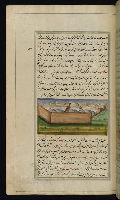 Deux pigeons et une réserve de grains des Lumières de Canopus - Persian School