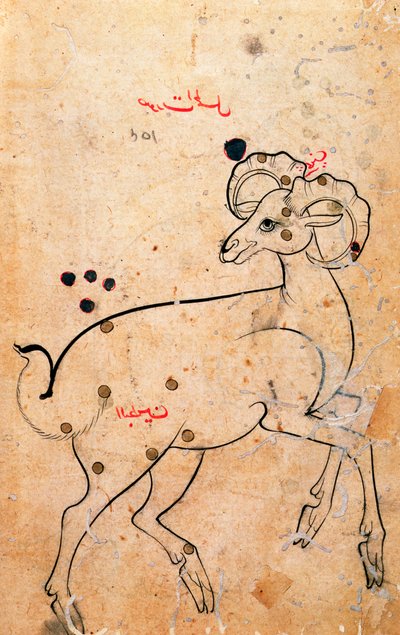 f.154a Bélier, le bélier, perse, d