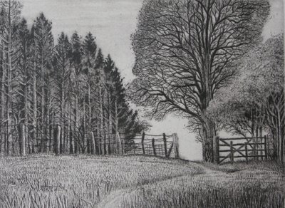 Le sentier de la forêt - Printemps - Peter A Ford