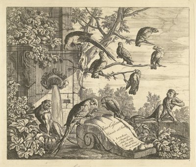 Perroquets et petits singes près d