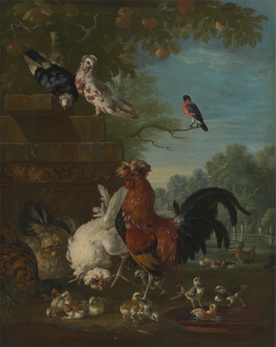 Coq Domestique, Poules et Poussins dans un Parc - Peter Casteels