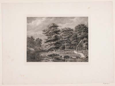 Rivière entre des rives boisées - Peter Christian Schøler