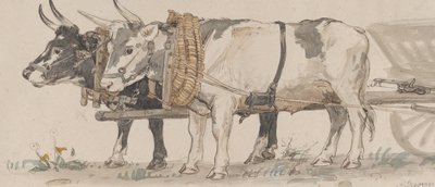 Deux bœufs tirant une charrette - Peter Christian Thamsen Skovgaard
