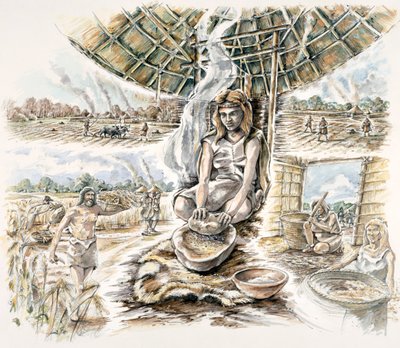 Production de céréales néolithiques, vers 1990-2010 - Peter Dunn