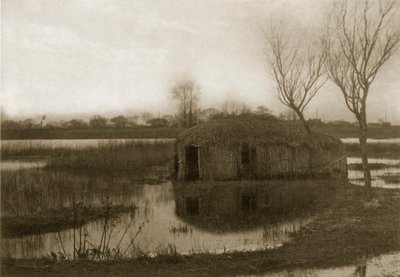 Une maison en bateau de roseaux, vie et paysage sur les Norfolk Broads, c.1886 - Peter Emerson und Thomas Goodall