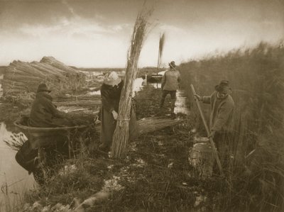 Pendant la récolte des roseaux, Vie et paysage sur les Norfolk Broads, vers 1886 - Peter Emerson und Thomas Goodall