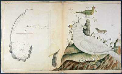 Carte de la baie de l