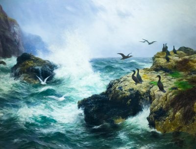 Rivage rocheux - Peter Graham