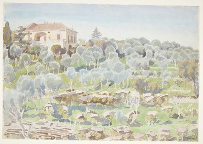 Pente de montagne avec oliviers et une villa - Peter Hansen
