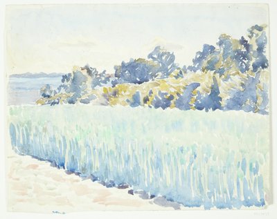 Paysage de Fionie. Champ de blé près d