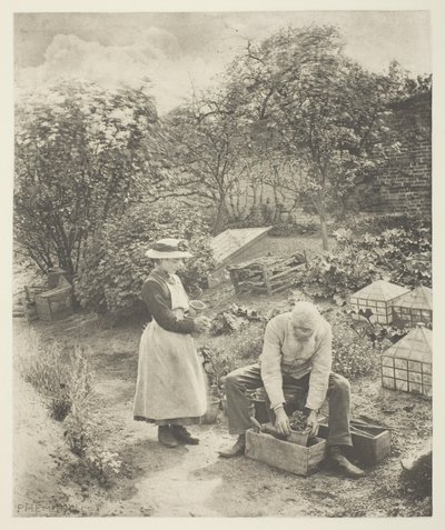 Un bout de jardin (Suffolk) - Peter Henry Emerson