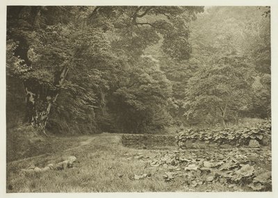 Un coin tranquille à Beresford Dale - Peter Henry Emerson