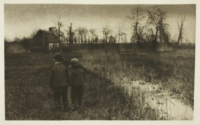 Un crapaud sur le chemin : Début du printemps à Norfolk - Peter Henry Emerson