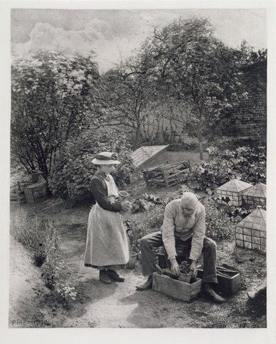 Un vieil homme et sa fille jardinant - Peter Henry Emerson