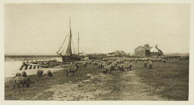 Blackshore, rivière Blythe (Suffolk) - Peter Henry Emerson